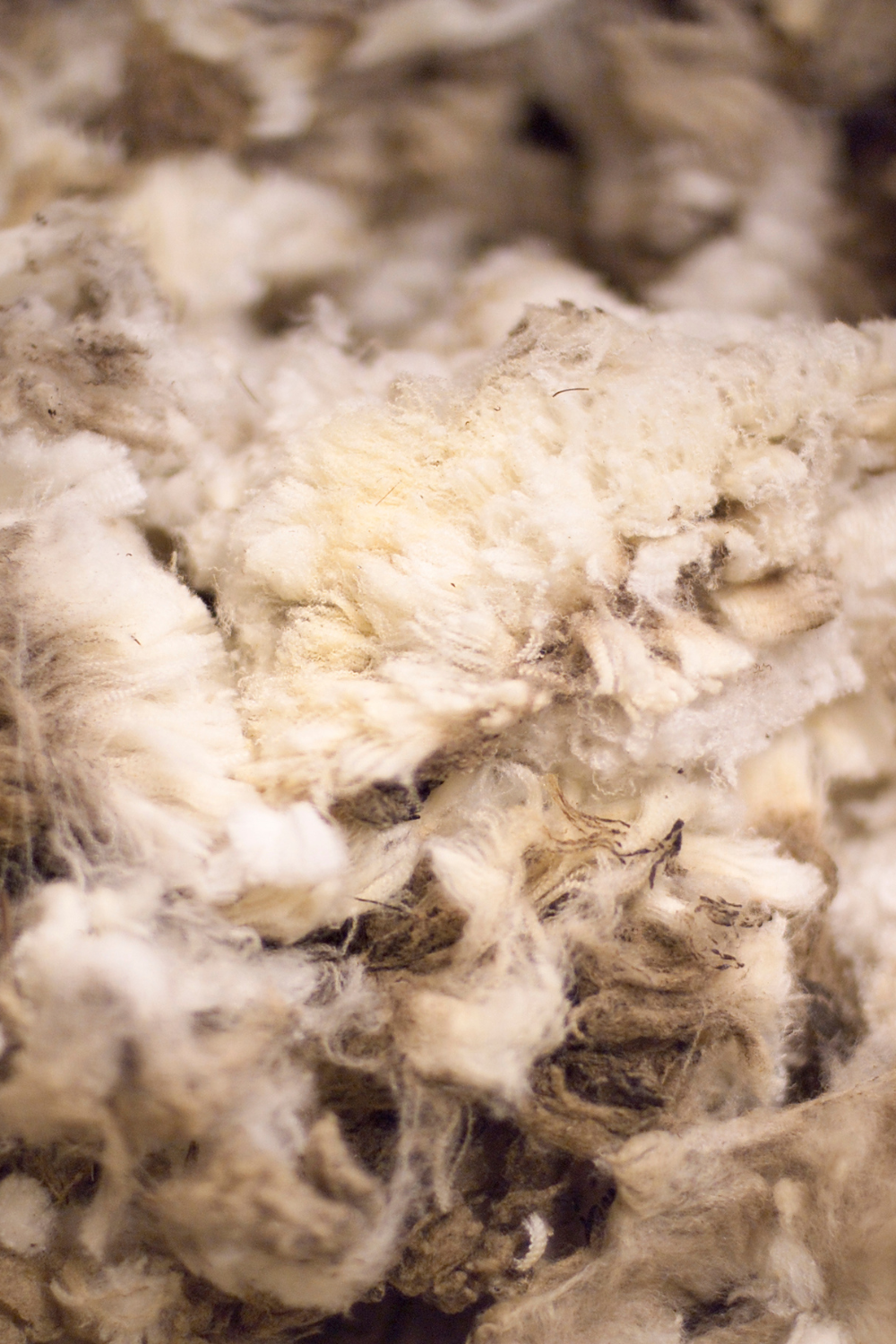 Spinning & Felting Fiber